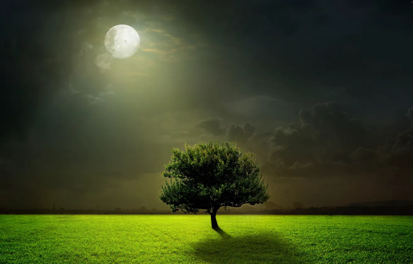 Photo wallpaper field, tree, The moon