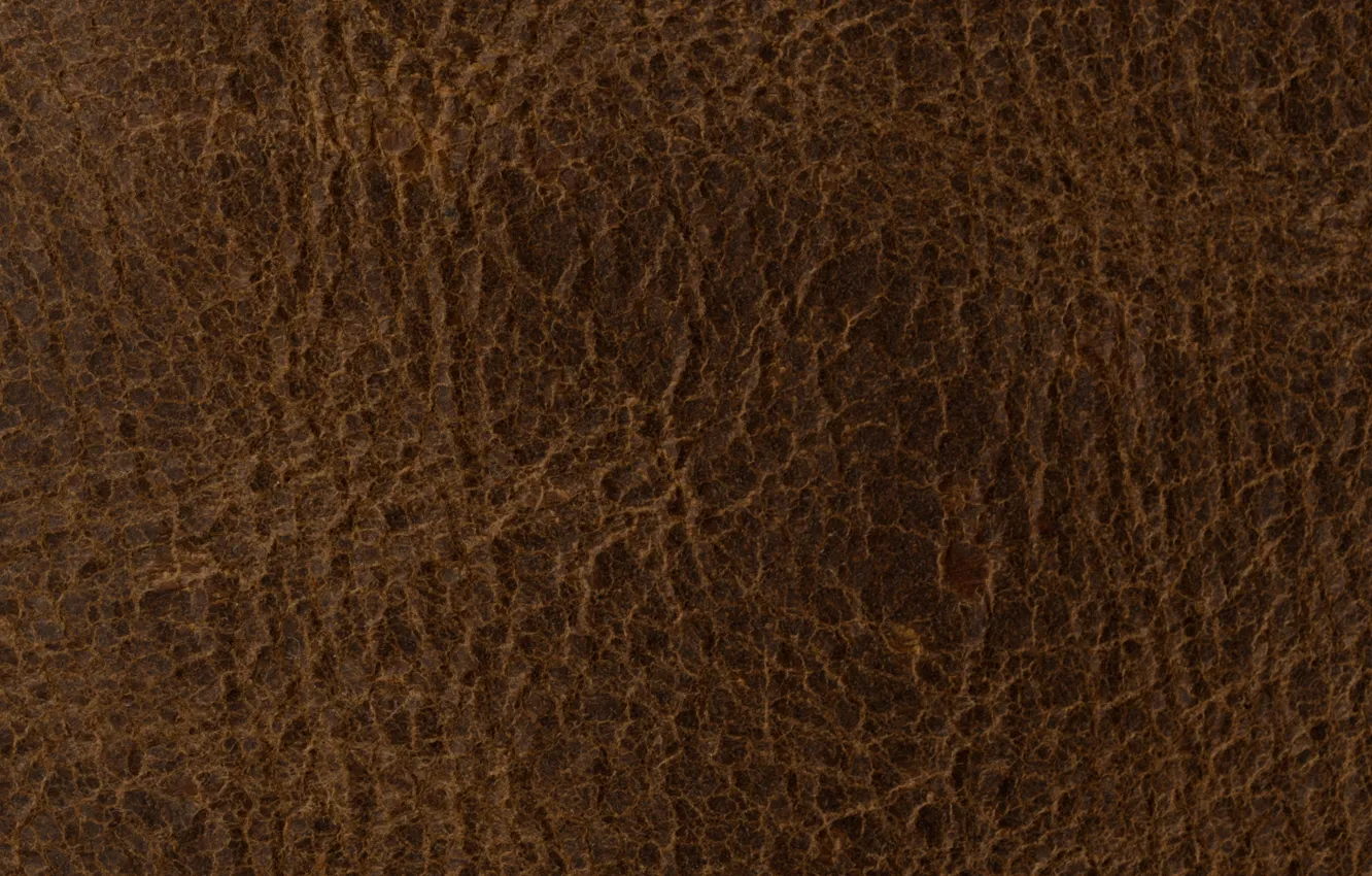Photo wallpaper surface, texture, leather, brown, relief, texture, brown, leather