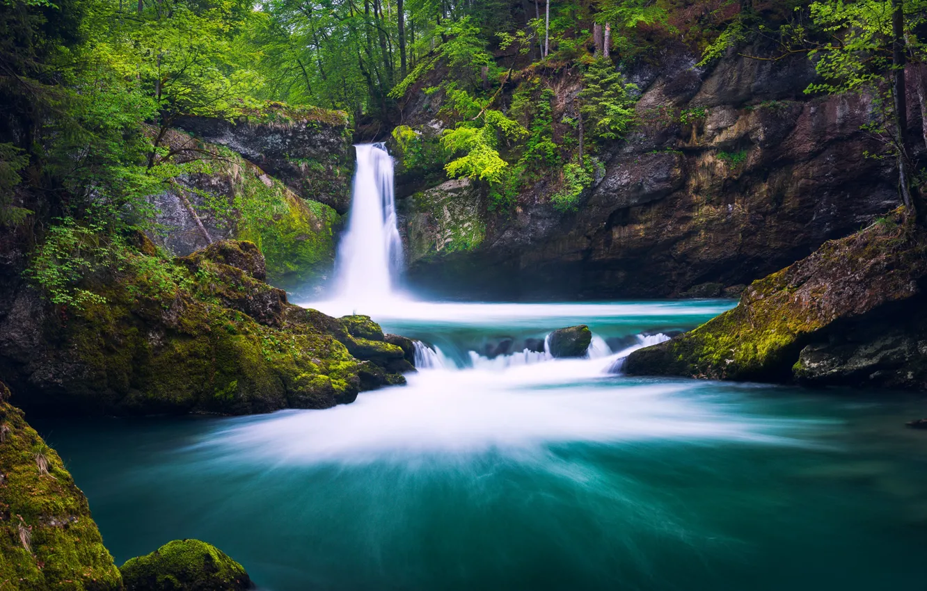 Photo wallpaper forest, river, rocks, waterfall, Switzerland, Switzerland, St. Gallen, St Gallen