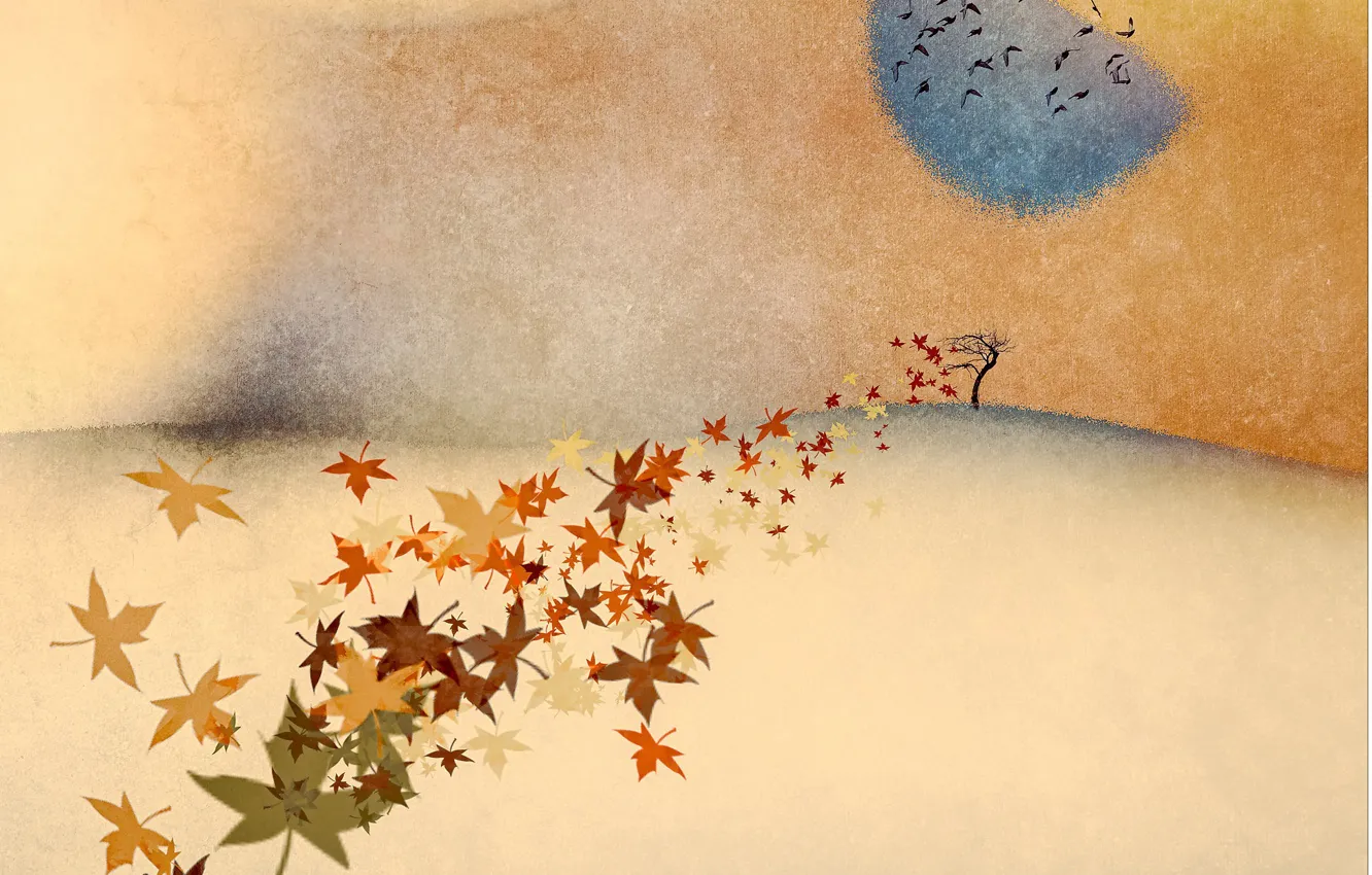 Photo wallpaper background, color, form