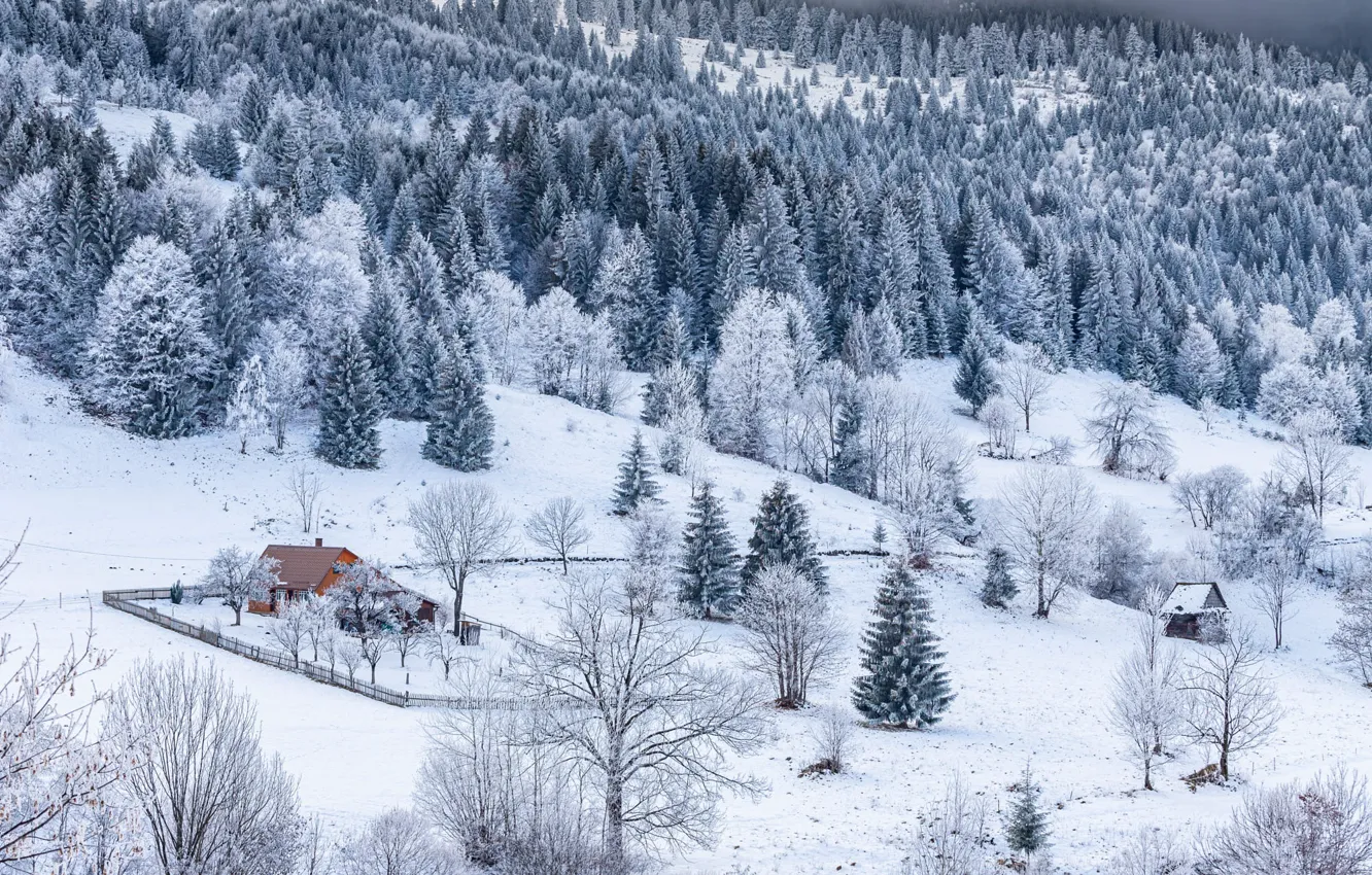 Photo wallpaper winter, frost, forest, snow, trees, mountains, nature, house
