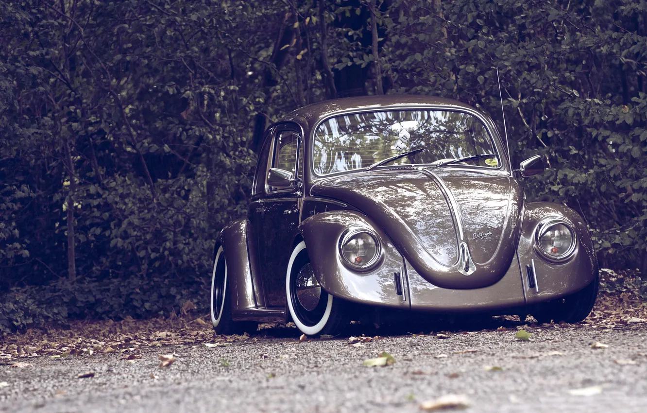Photo wallpaper autumn, nature, retro, Volkswagen, Beetle