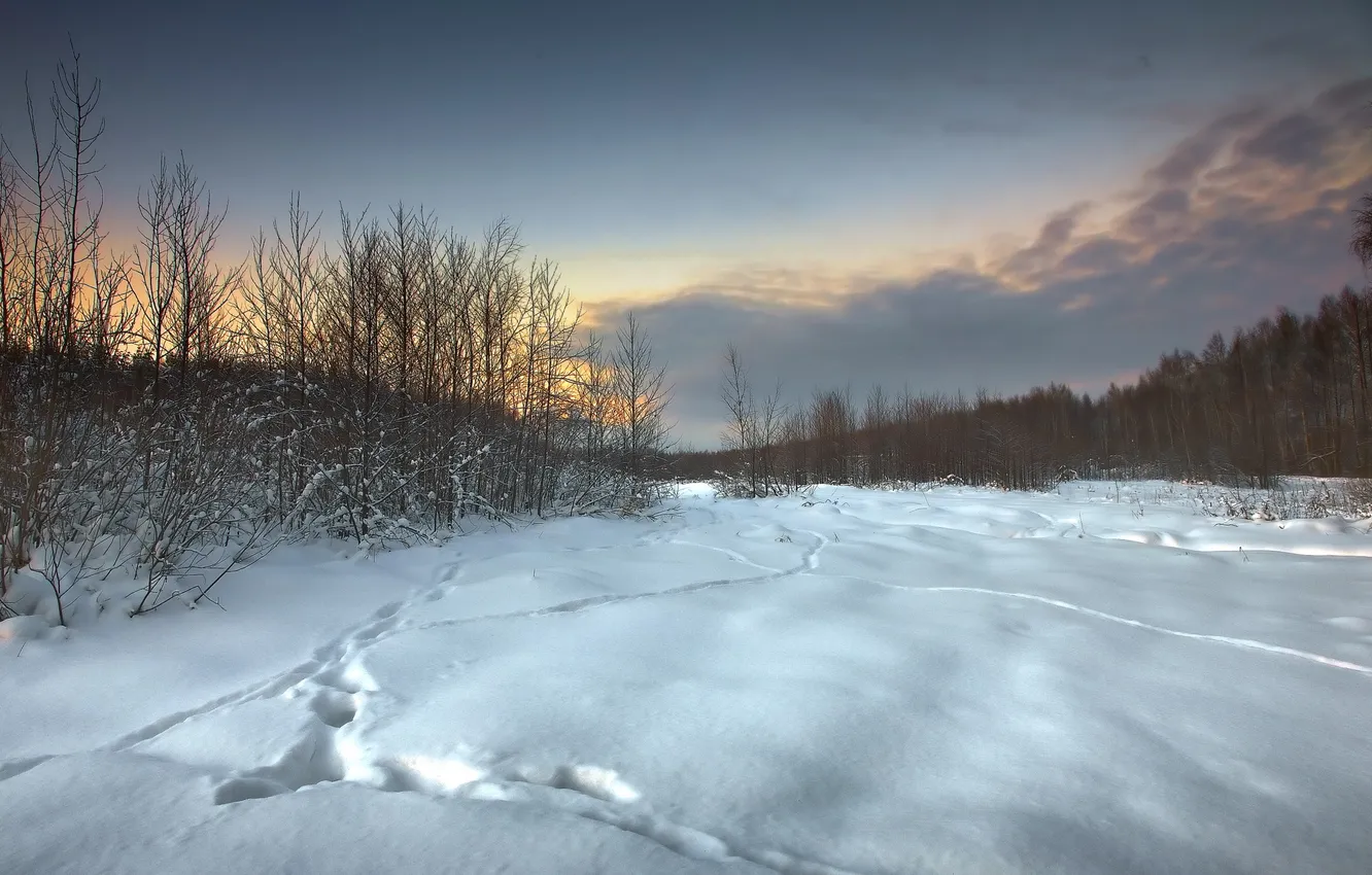 Photo wallpaper winter, field, snow, landscape, sunset