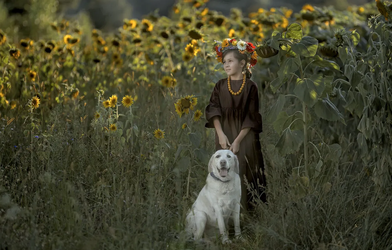 Photo wallpaper sunflower, dog, girl