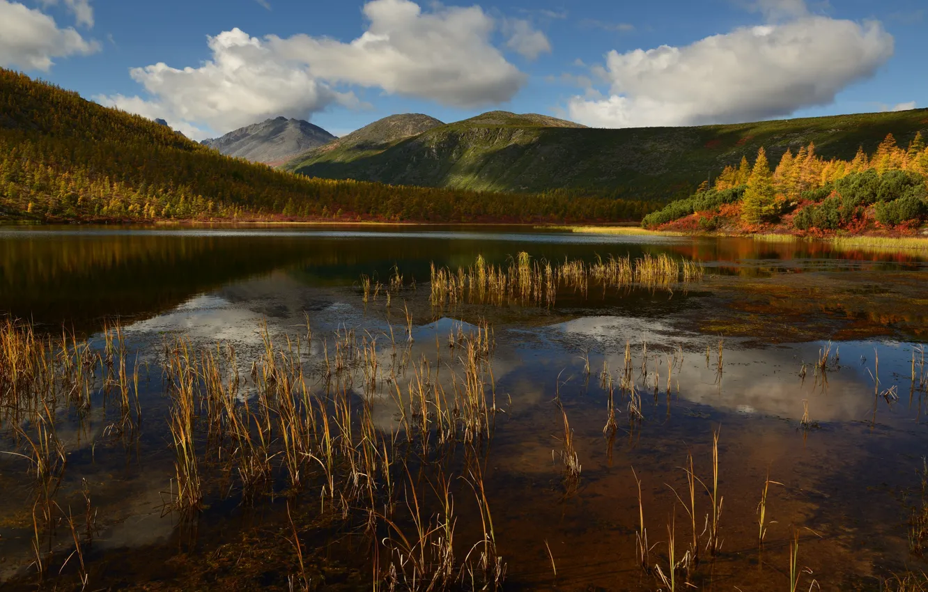 Photo wallpaper autumn, forest, clouds, mountains, reflection, hills, shore, pond