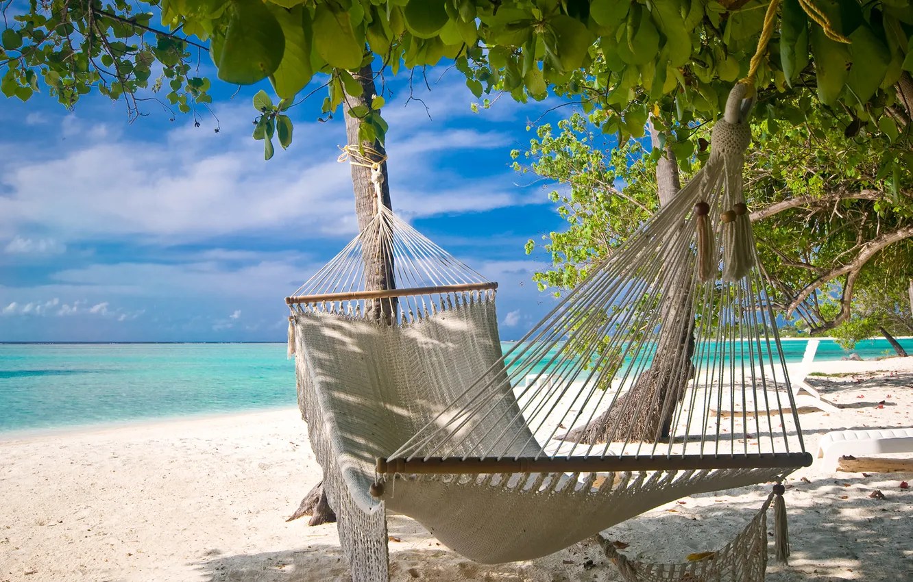 Photo wallpaper sea, beach, palm trees, stay, vacation, hammock, resort, Caribbean