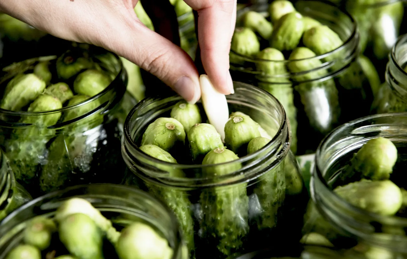 Photo wallpaper hands, Bank, cucumbers, garlic, pickles, salting, blank