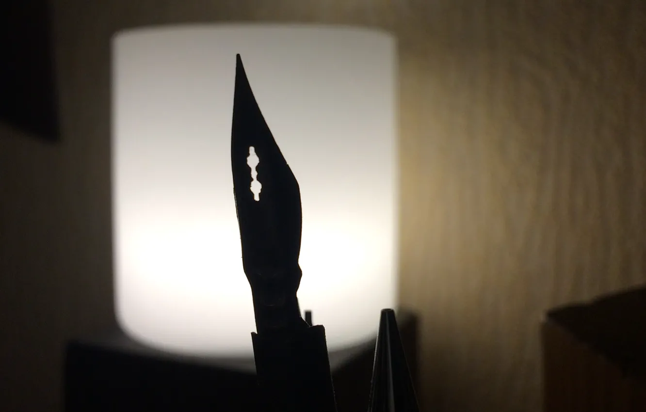 Photo wallpaper macro, light, graphics, feathers, lamp. evening, ink pen, pen for drawing