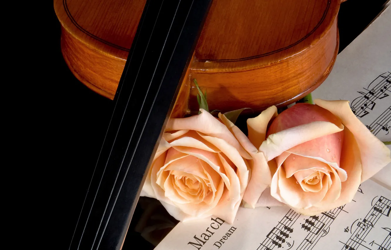Photo wallpaper notes, music, violin, roses, beauty