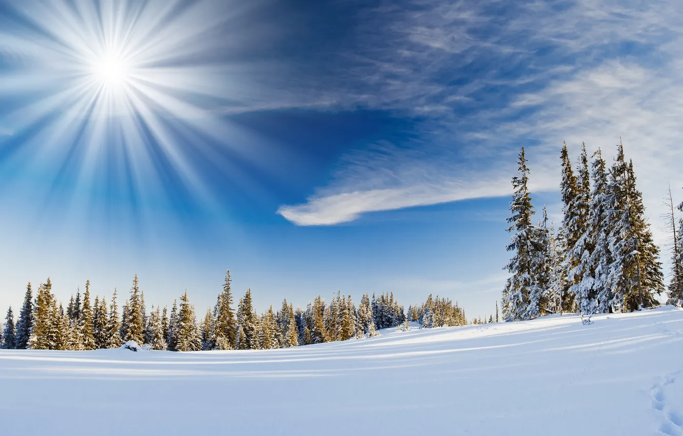 Photo wallpaper winter, frost, field, forest, the sun, clouds, rays, light