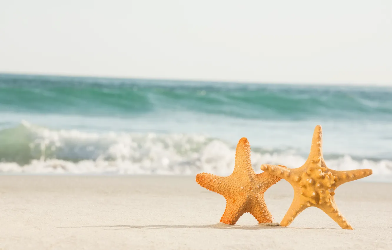Photo wallpaper sand, sea, beach, star, pair, summer, love, beach