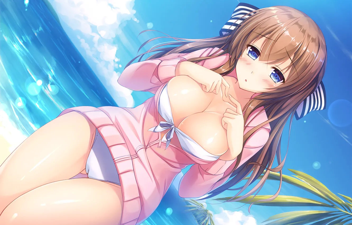 Photo wallpaper girl, sexy, lingerie, bra, panties, brown hair, boobs, anime