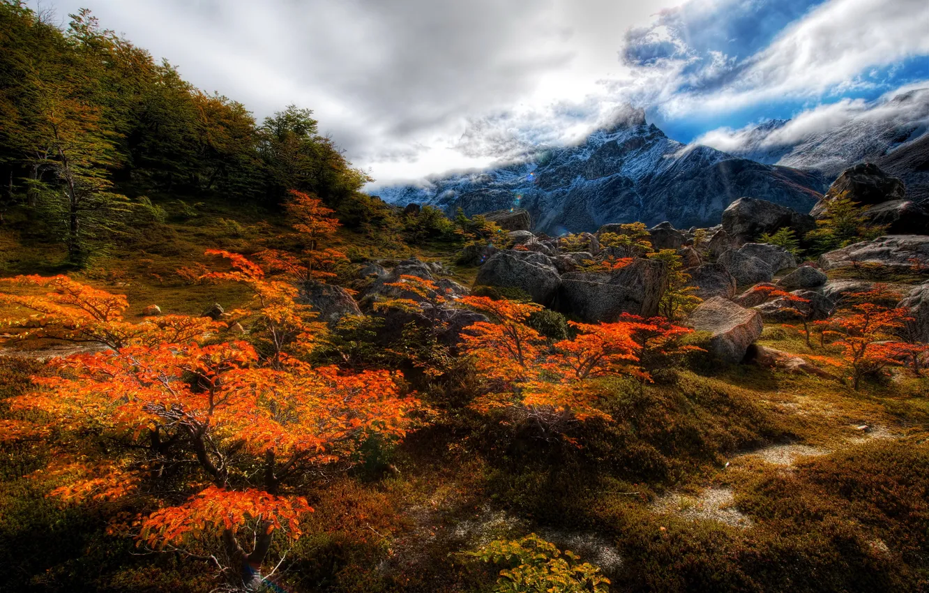 Photo wallpaper autumn, clouds, trees, mountains, stones., nature, Chile, Chile