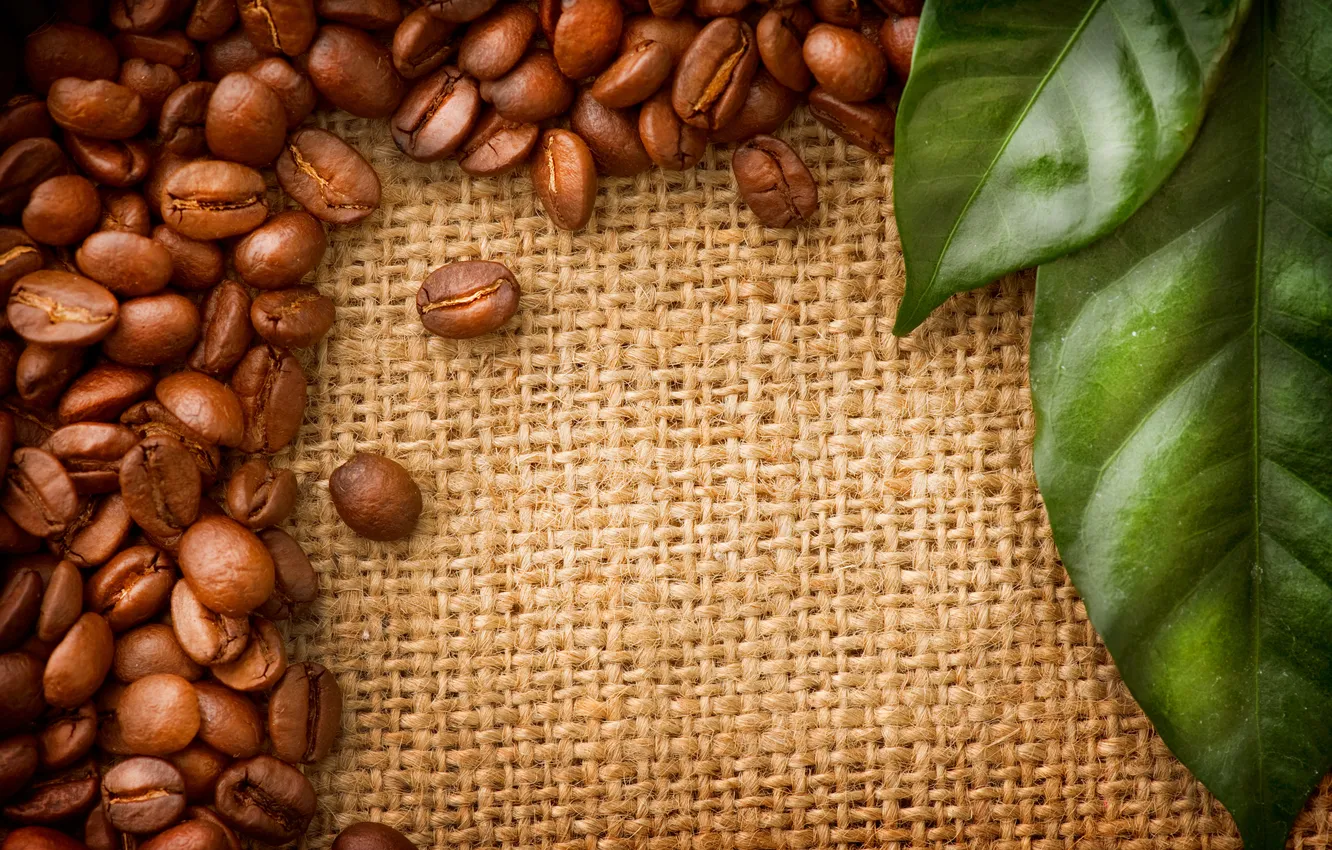 Photo wallpaper leaves, coffee, grain