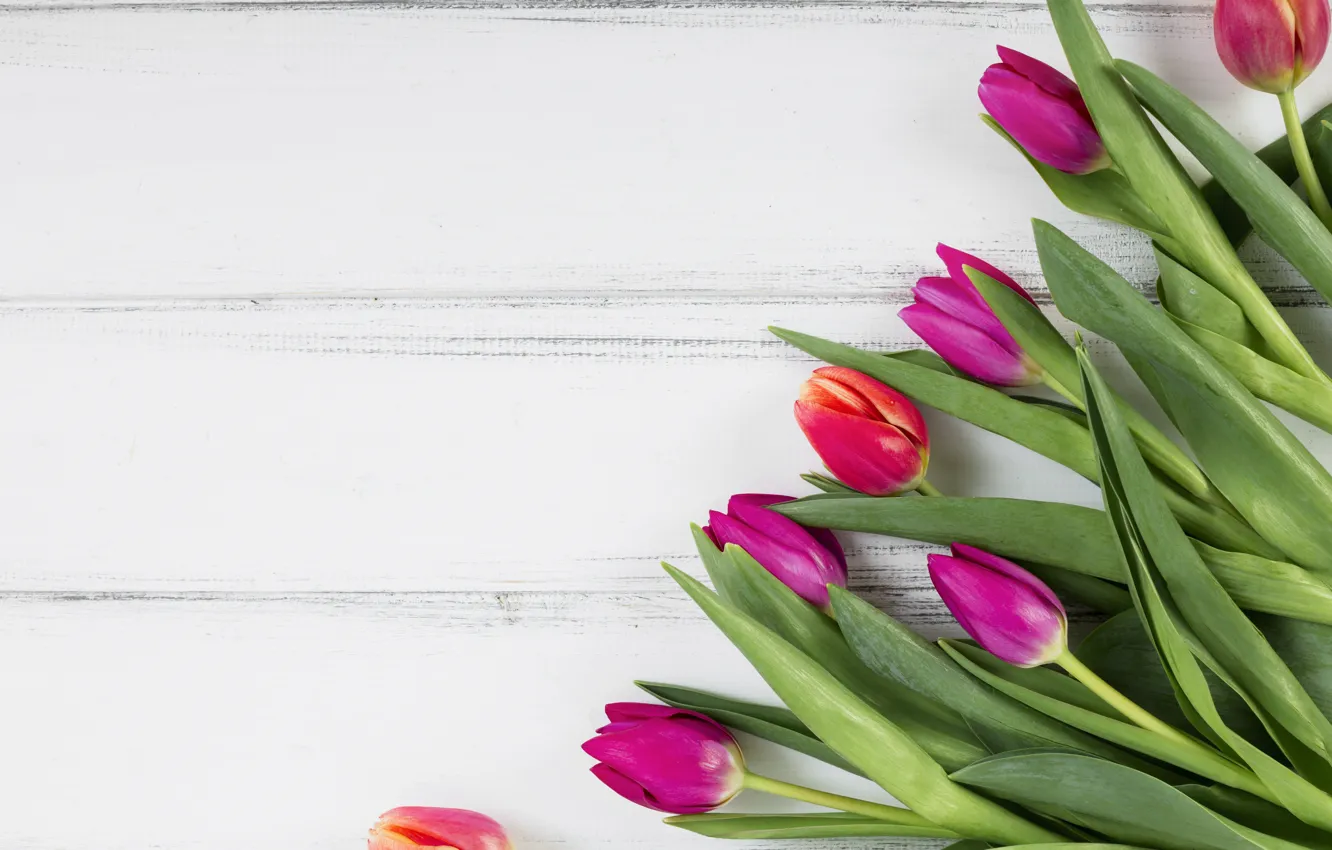 Photo wallpaper white, background, wood, tulip