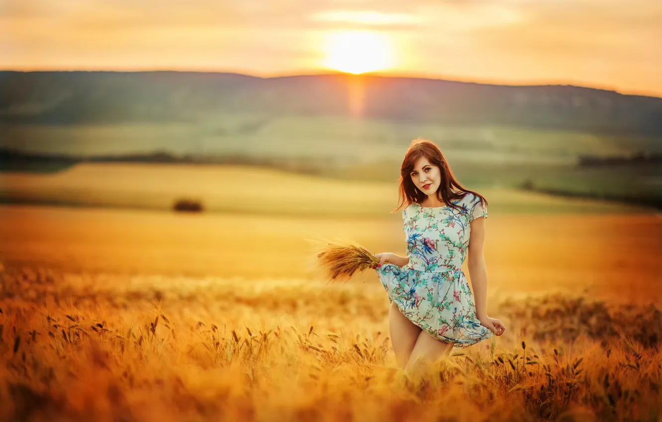 Photo wallpaper field, girl, the sun, dress, legs