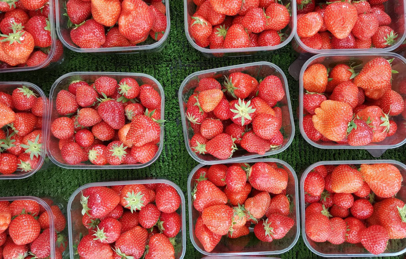 Photo wallpaper berries, harvest, strawberry, a lot, containers, trays