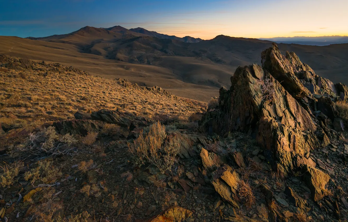 Photo wallpaper the sky, mountains, nature, stones, hills, vegetation, desert, slope