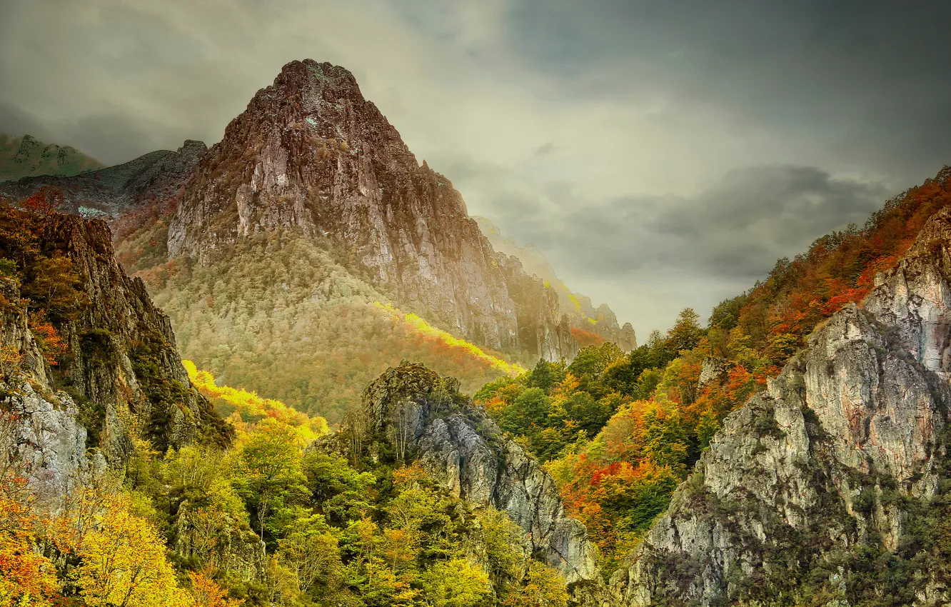 Photo wallpaper autumn, the sky, clouds, trees, mountains, fog