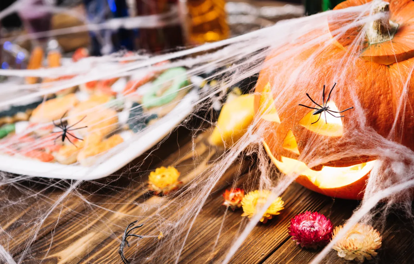 Photo wallpaper flowers, holiday, web, candles, pumpkin, Halloween, Daisy