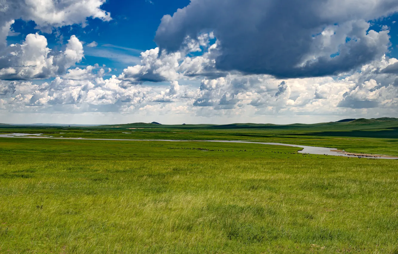 Photo wallpaper greens, field, summer, the sky, grass, clouds, clouds, river