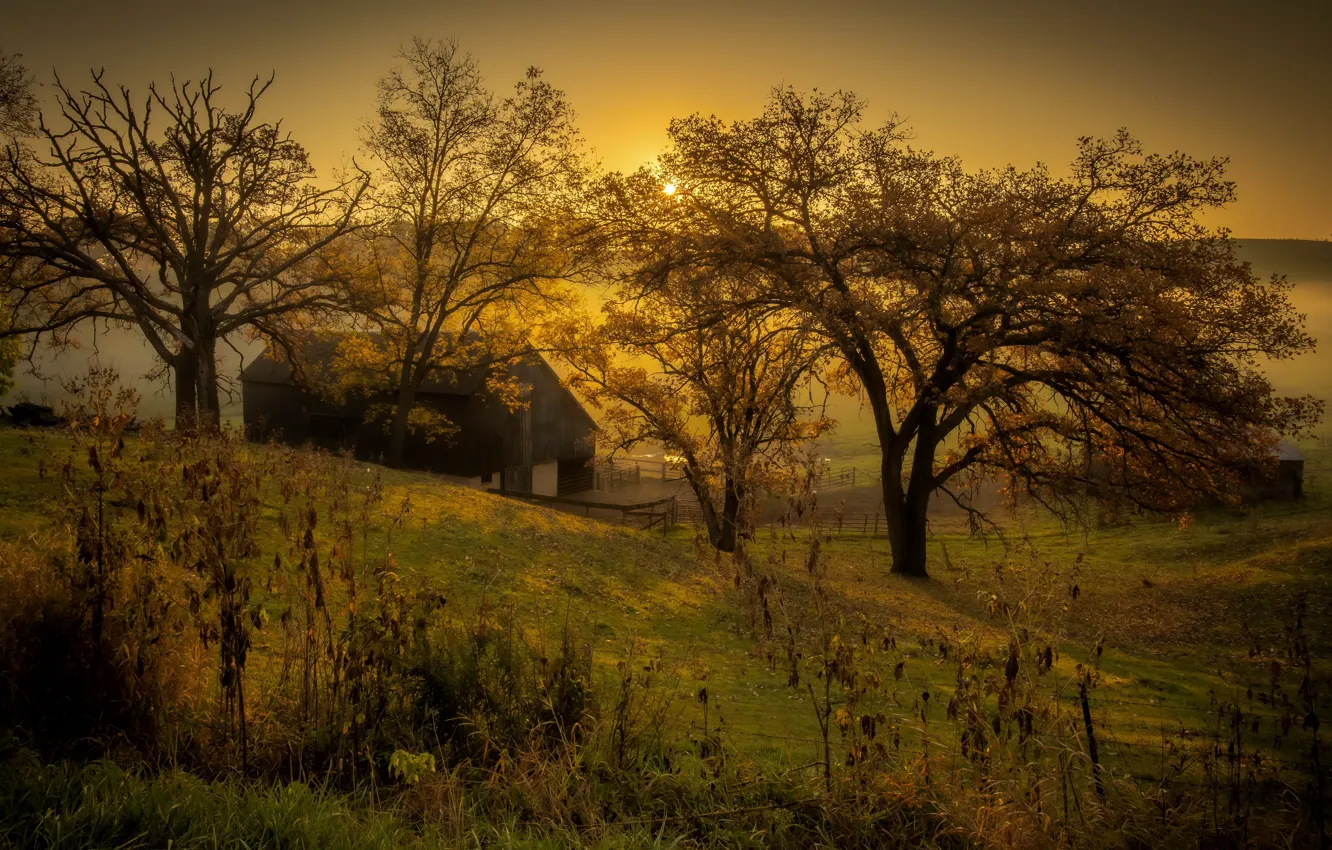 Photo wallpaper autumn, sunset, fog