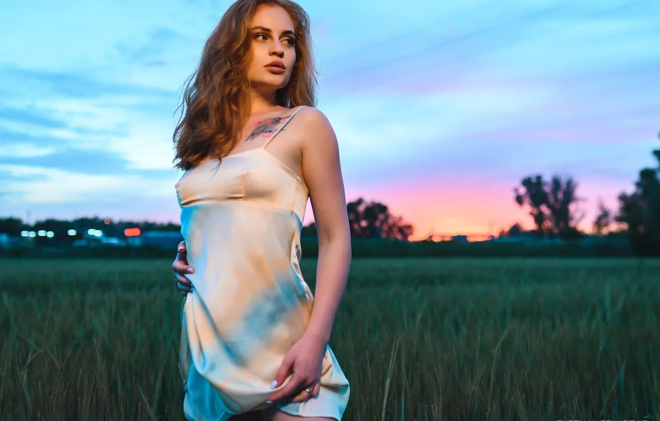 Photo wallpaper field, girl, pose, dress, tattoo, Anton Vladimirovich