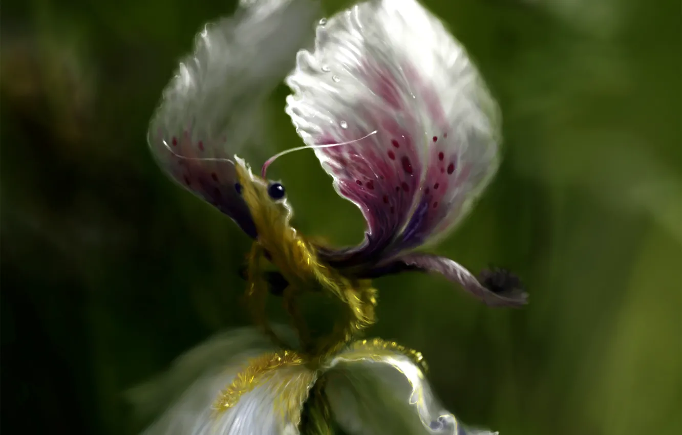 Photo wallpaper flower, fantasy, wings, being, petals, art, iris