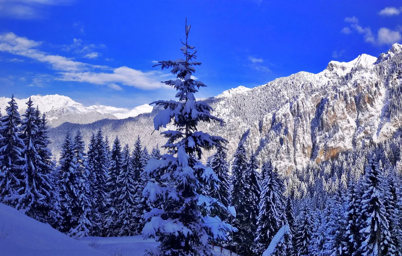 Photo wallpaper winter, landscape, mountains, nature