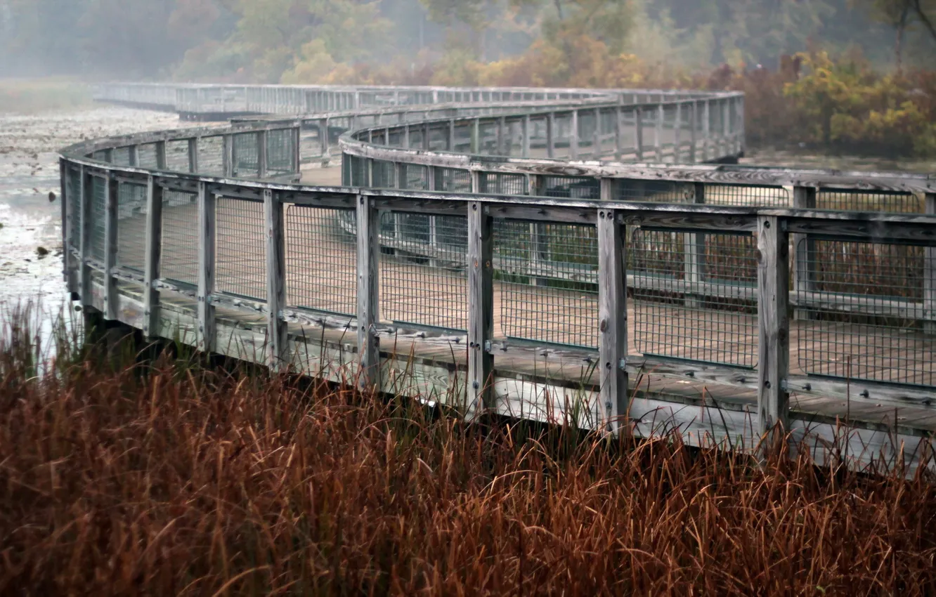 Photo wallpaper landscape, bridge, lake