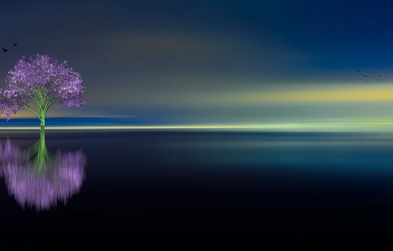 Photo wallpaper the sky, trees, landscape, surface, bird