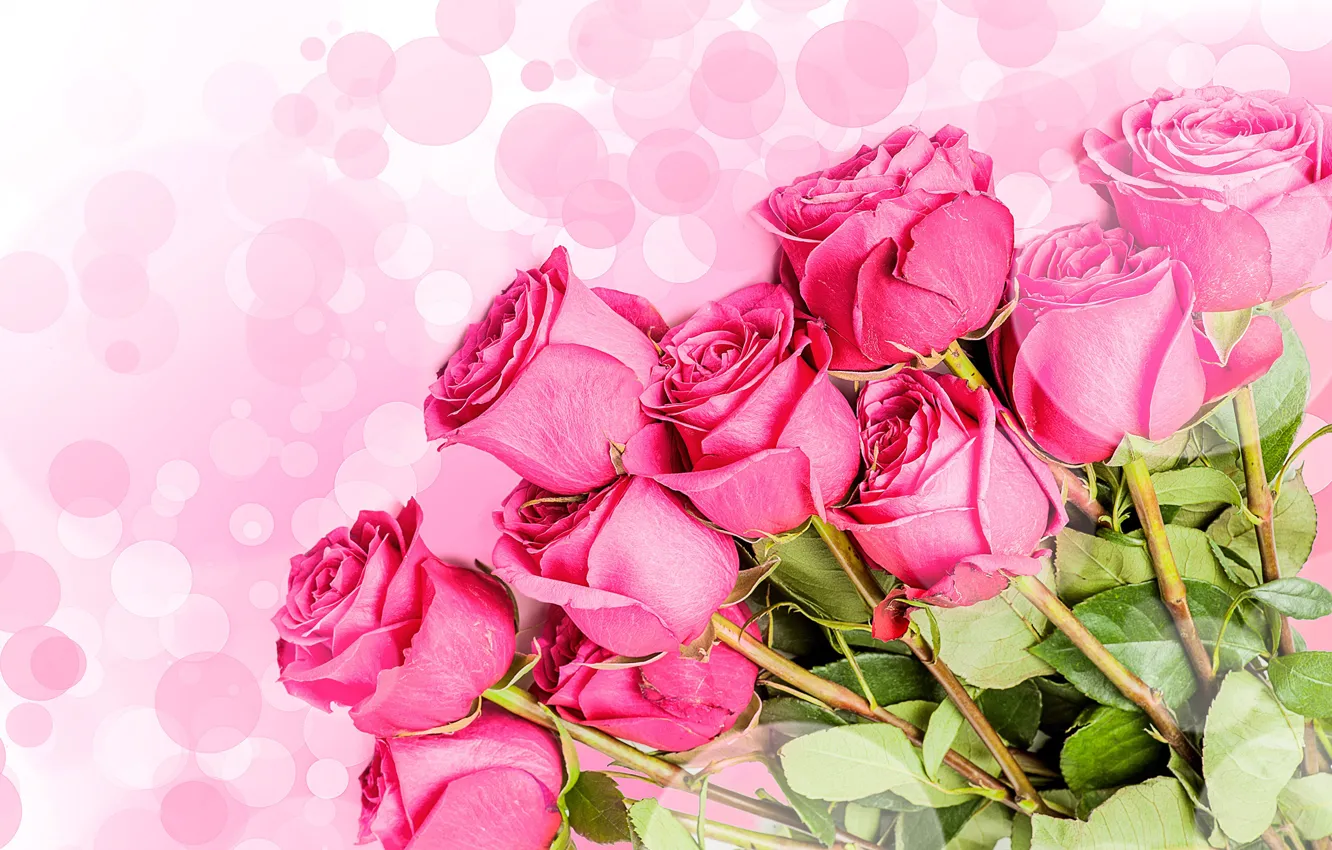 Photo wallpaper leaves, glare, background, roses, bouquet, stem, pink, buds