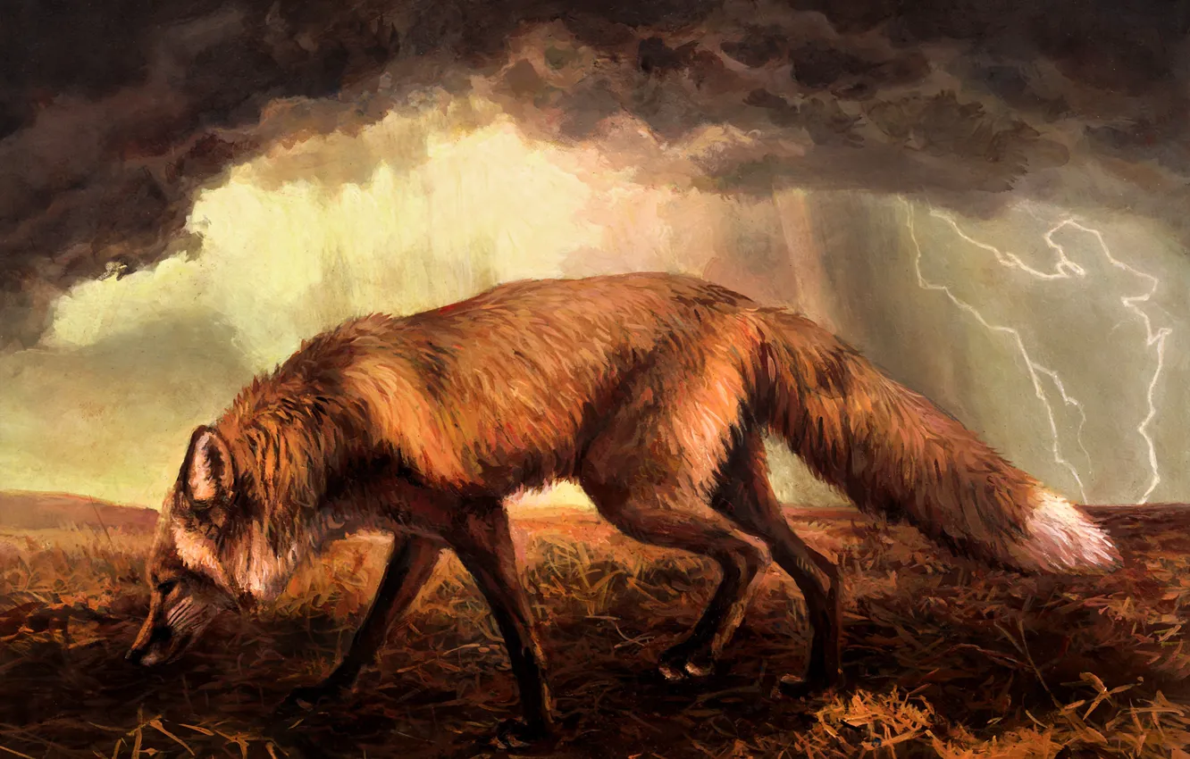Photo wallpaper the storm, Fox, by kenket