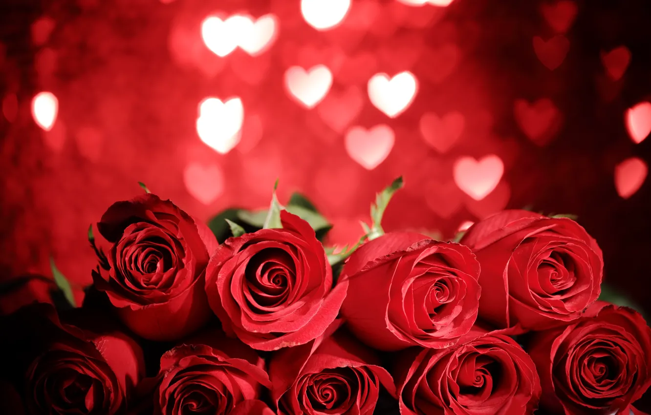 Photo wallpaper red, love, heart, flowers, romantic, gift, roses, red roses