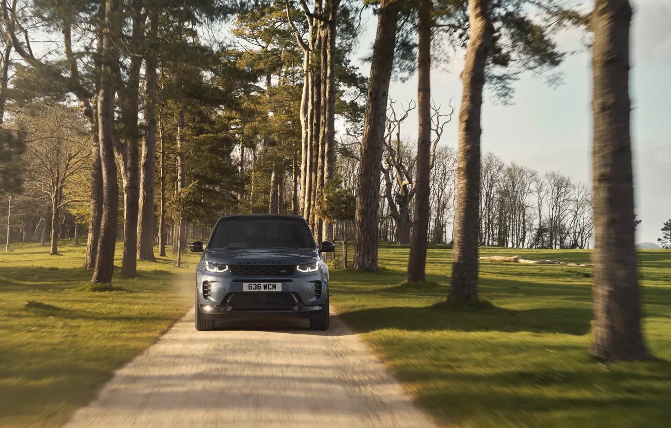 Photo wallpaper Land Rover, trees, headlights, nice view, Land Rover Discovery Sport HSE