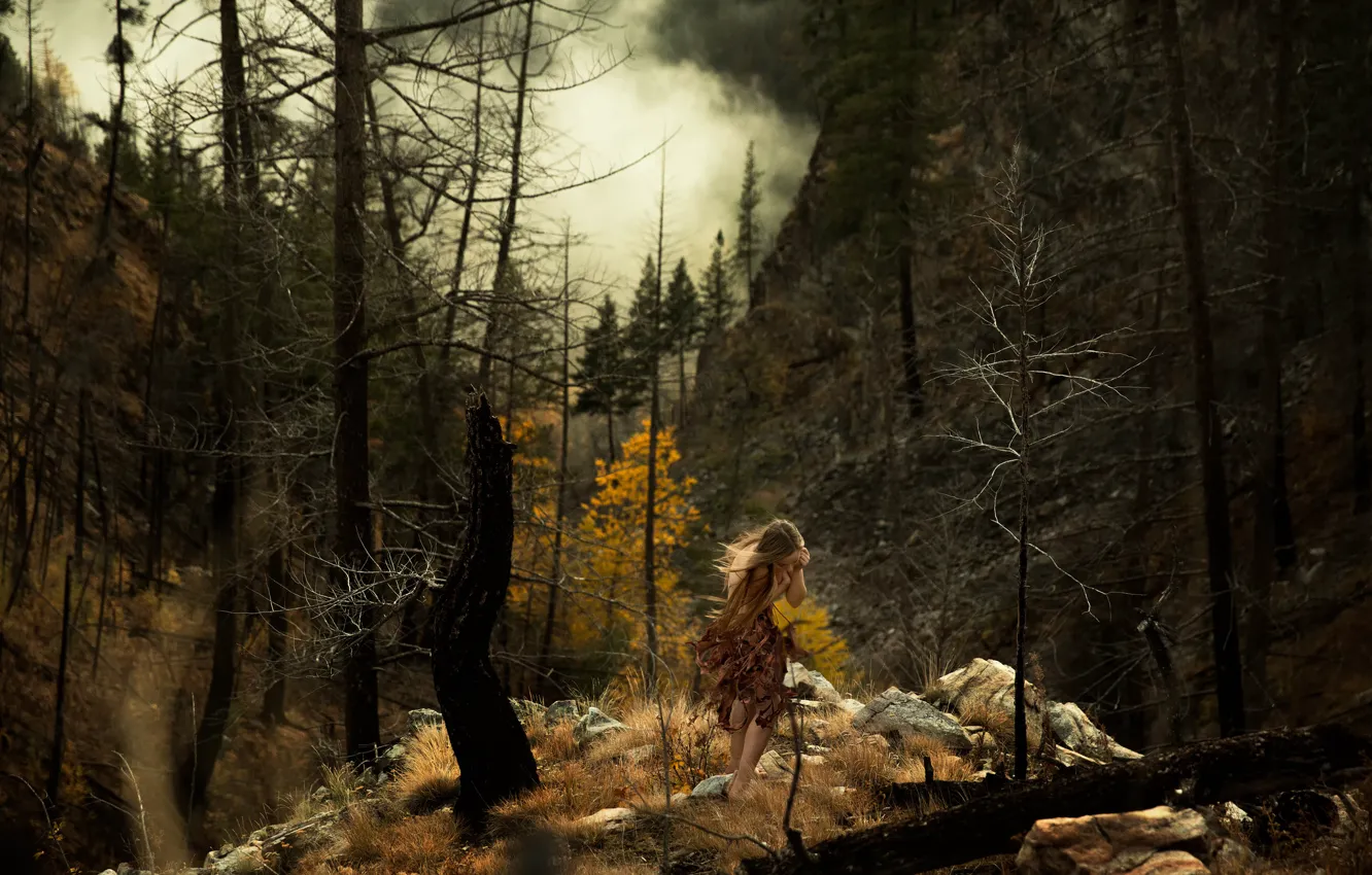 Photo wallpaper forest, girl, stones, smoke, Lichon