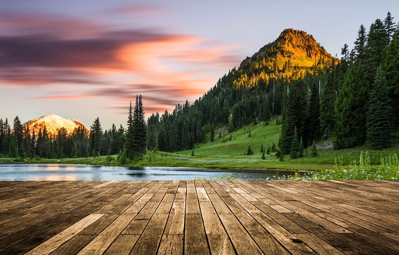 Photo wallpaper USA, forest, sky, trees, landscape, nature, sunset, water