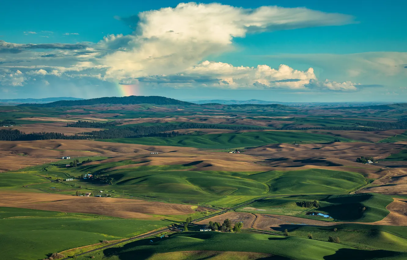 Photo wallpaper road, field, summer, the sky, clouds, mountains, green, blue