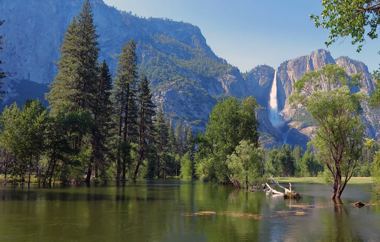 Photo wallpaper forest, trees, mountains, river, rocks, waterfall, USA, Yosemite