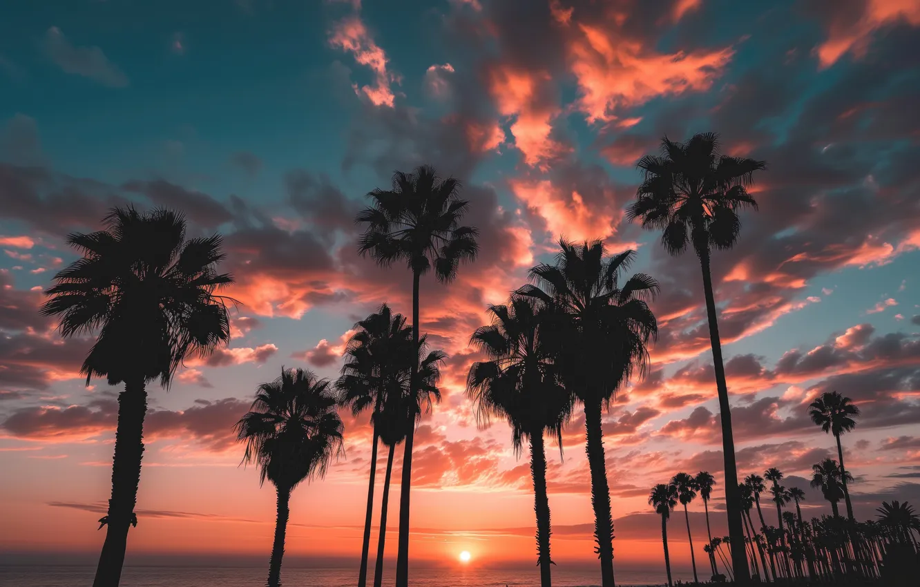 Photo wallpaper beach, sunset, palm trees
