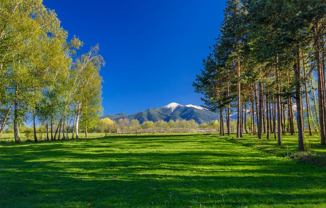 Photo wallpaper grass, trees, mountains, Bulgaria