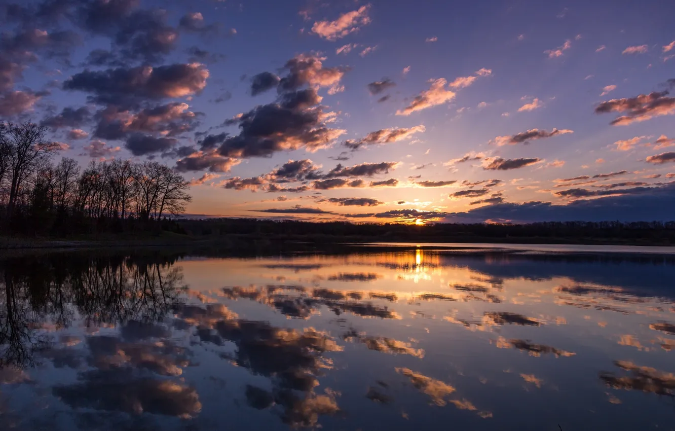 Photo wallpaper forest, clouds, trees, lake, reflection, sunrise, morning