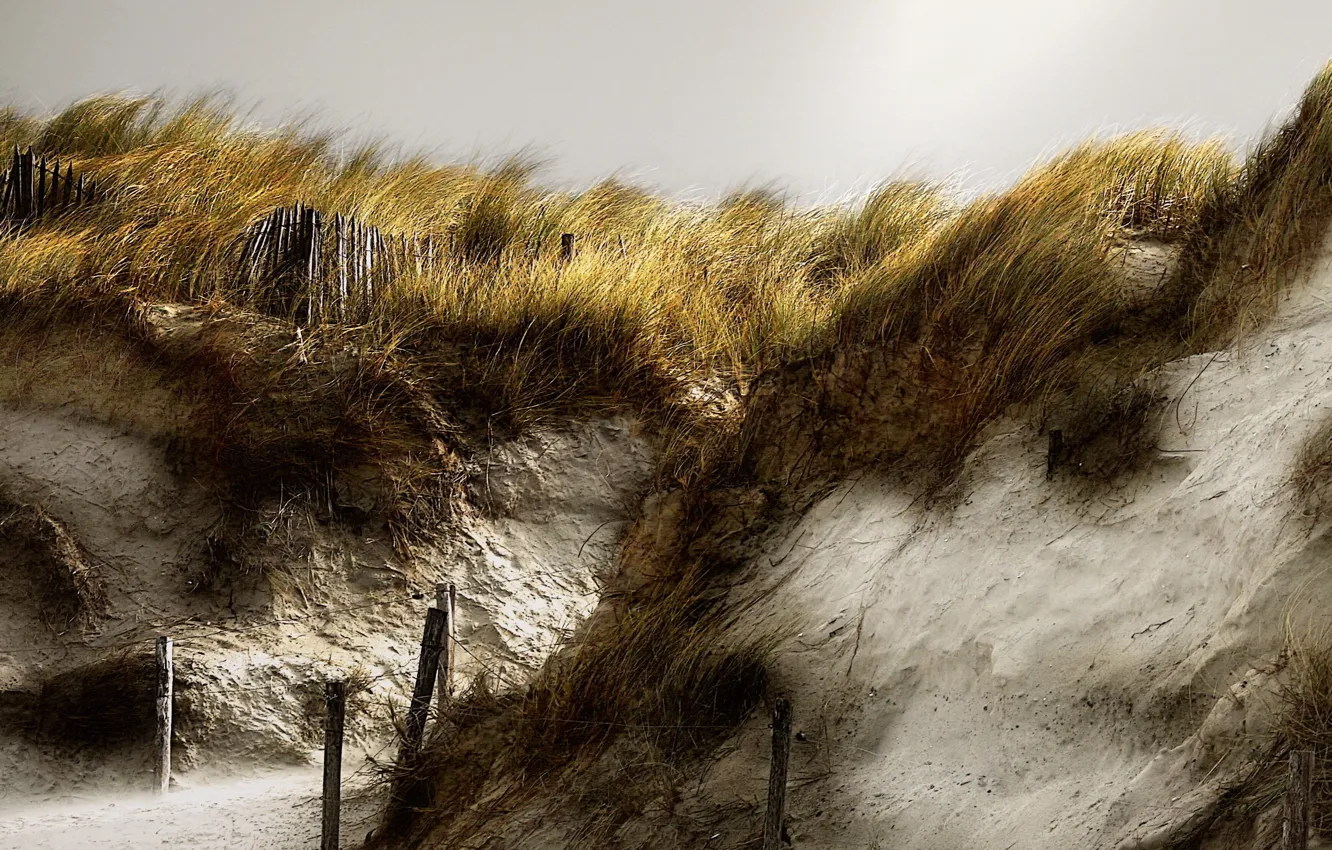 Photo wallpaper beach, nature, dunes