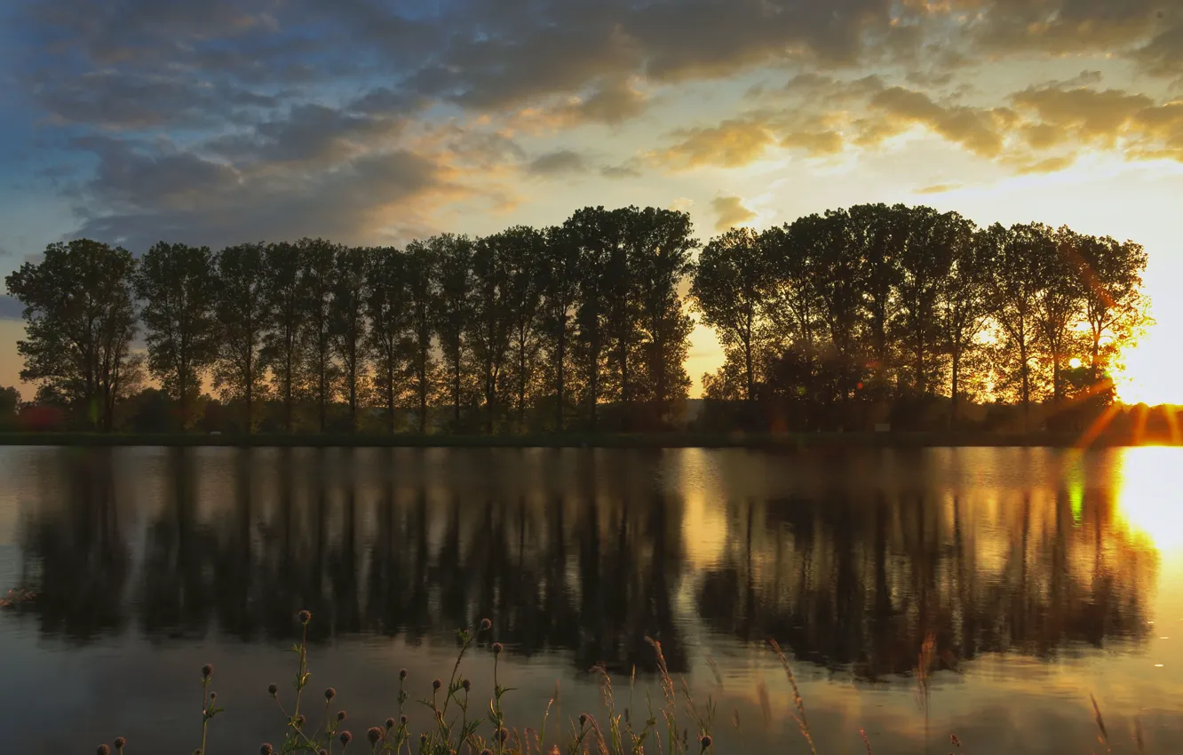 Photo wallpaper forest, trees, sunset, reflection, the evening, pond