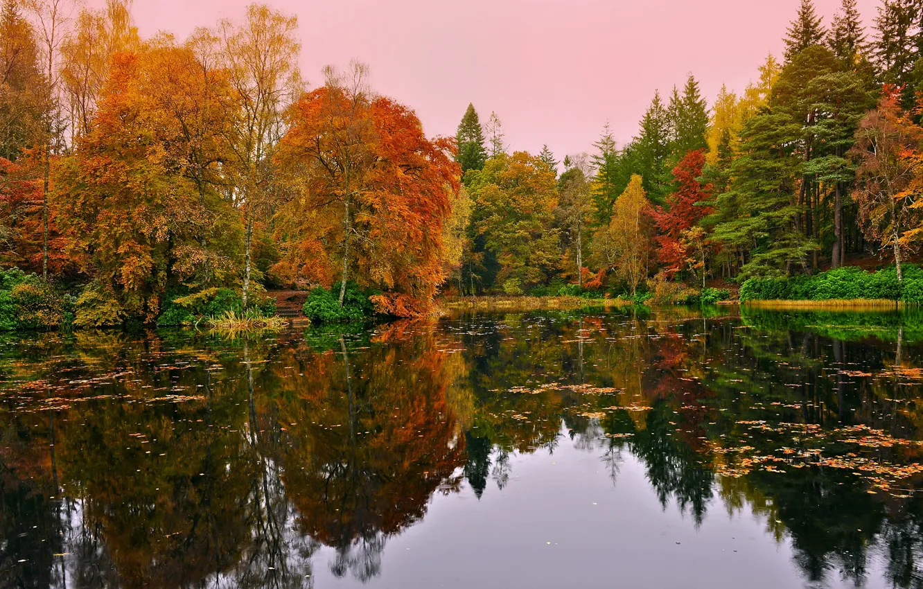 Photo wallpaper autumn, forest, lake