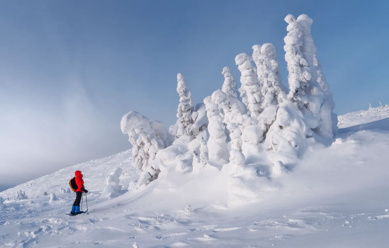 Photo wallpaper snow, trees, landscape, nature, ate, skier, tourists, Michael Turkei