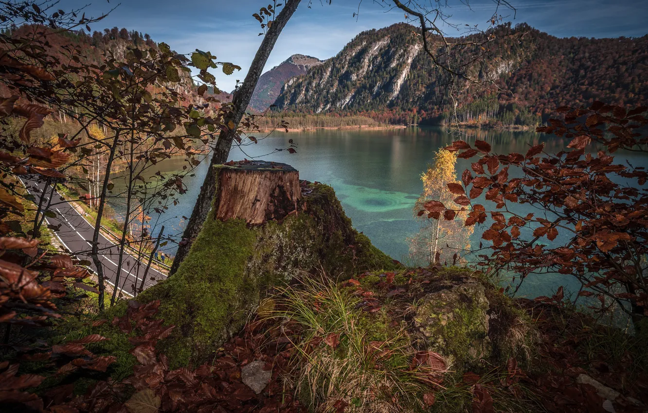 Photo wallpaper road, autumn, trees, landscape, mountains, nature, lake, stump