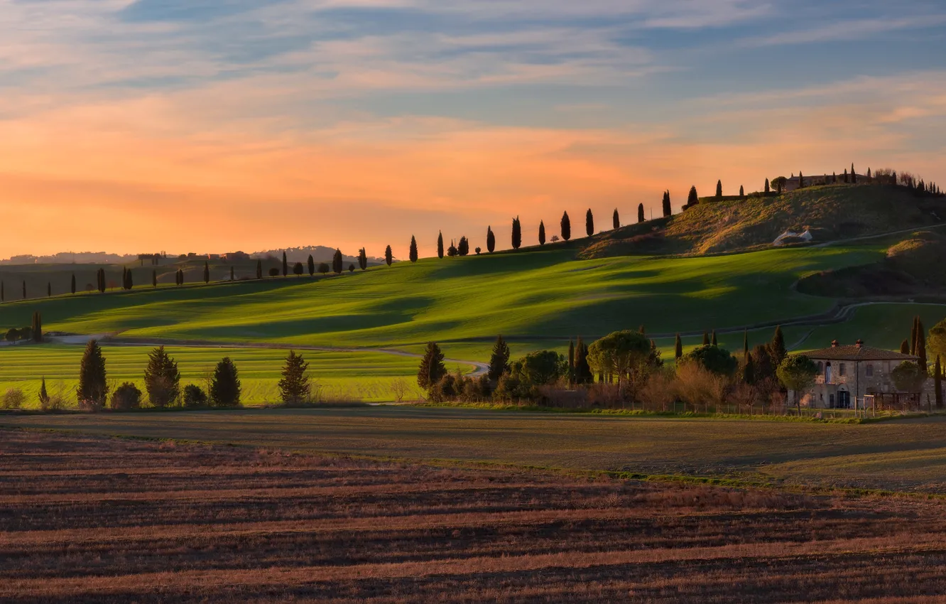 Photo wallpaper field, summer, the sky, clouds, trees, mountains, nature, green
