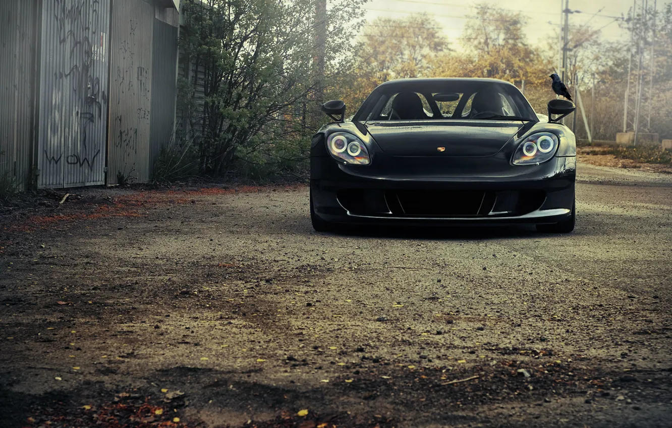 Photo wallpaper bird, Porsche, car, porsche, Porsche, Carrera GT