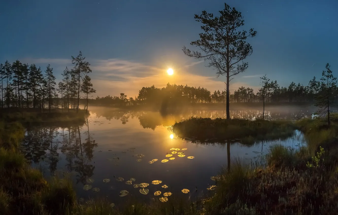 Photo wallpaper sunset, nature, the evening